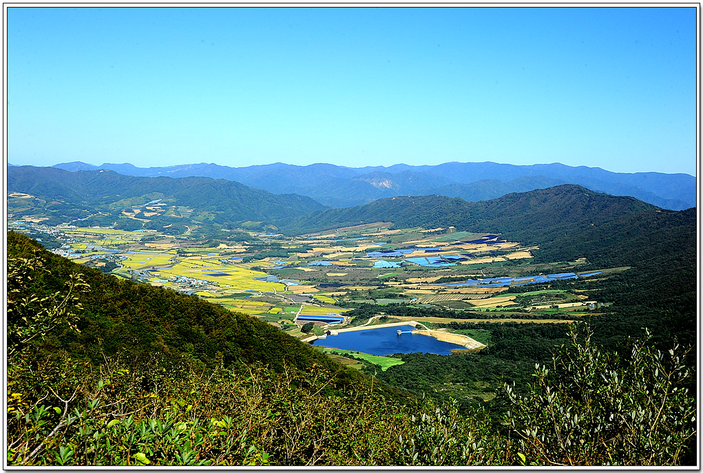 20100928_9918.jpg