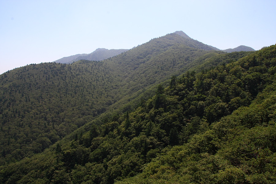20090815_106.JPG