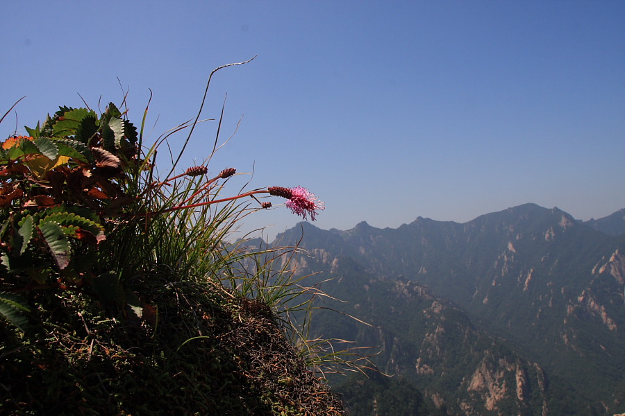 20090815_134.jpg