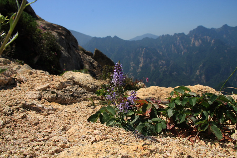 20090815_115.jpg