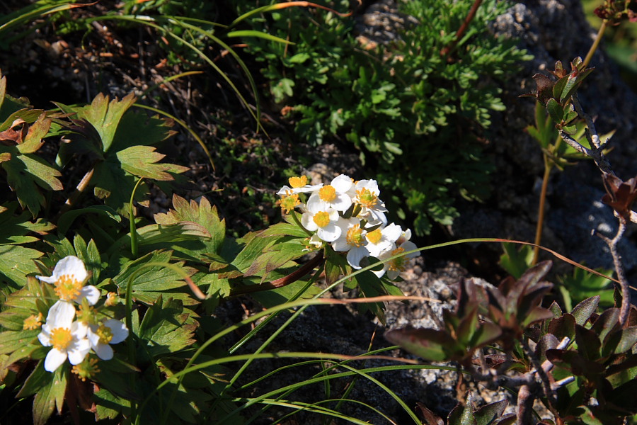 20090815_131.jpg