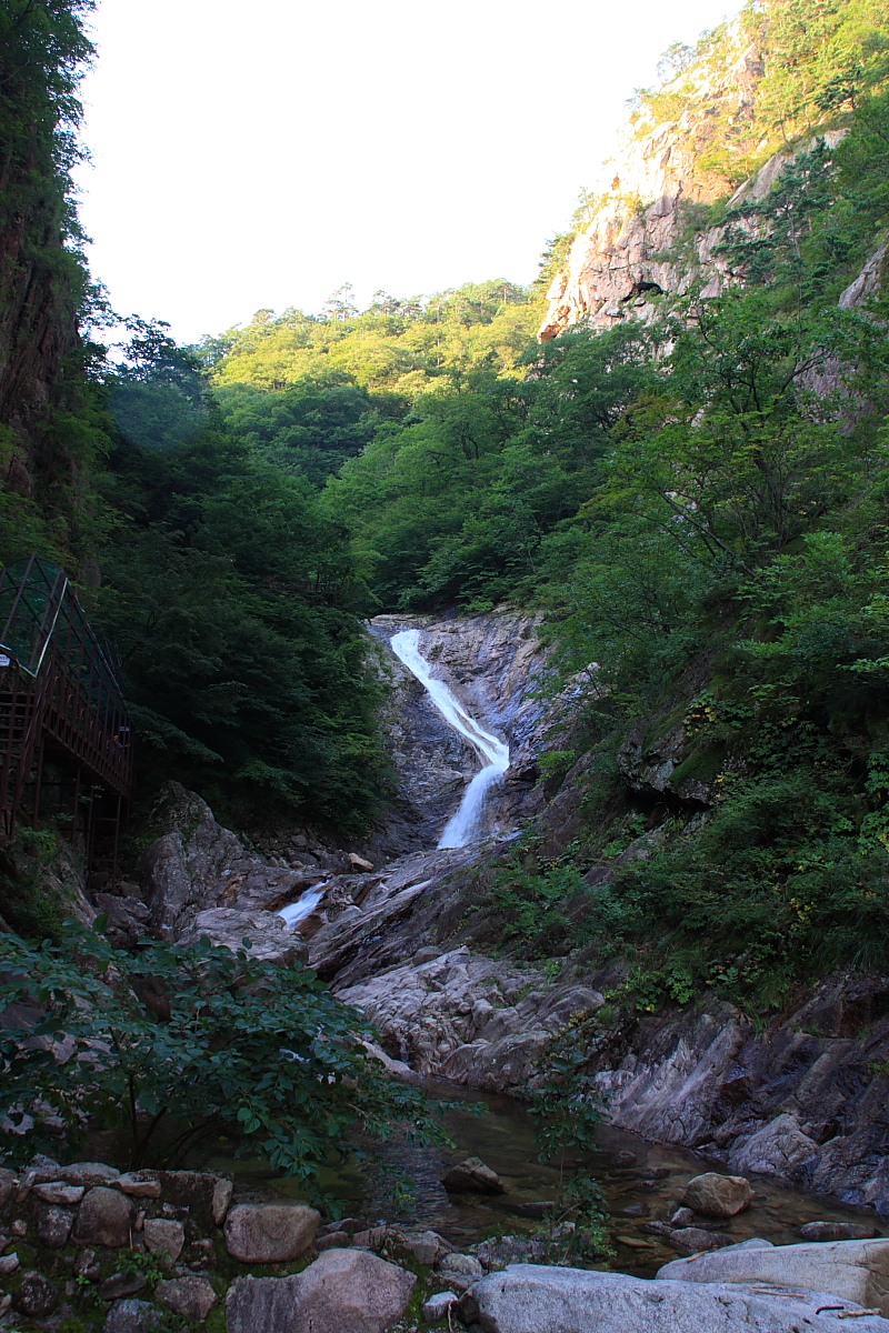 20090815_007.JPG