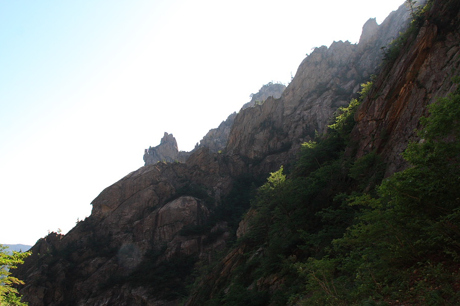 20090815_072.JPG