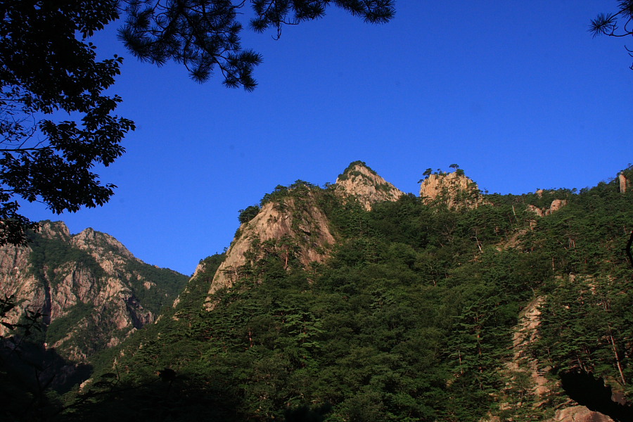 20090815_001.JPG