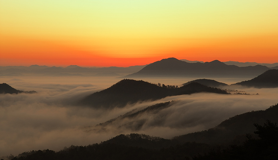 DSC_5551-3.jpg
