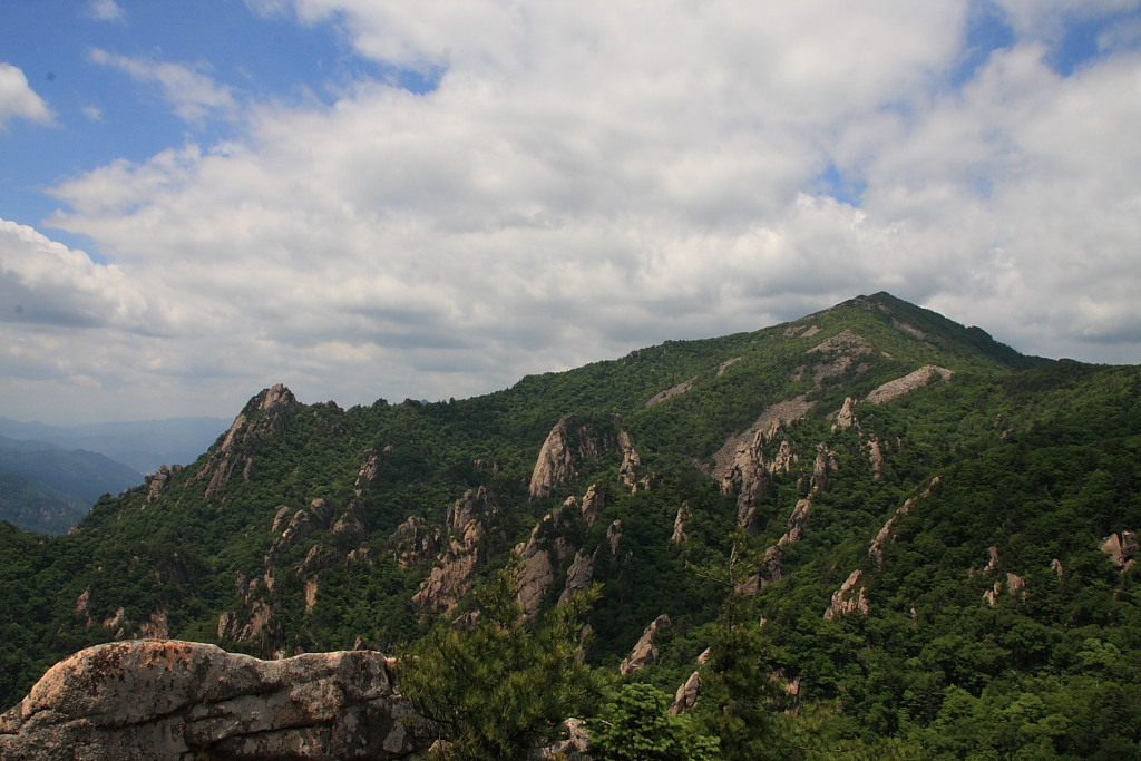20090613_009.JPG