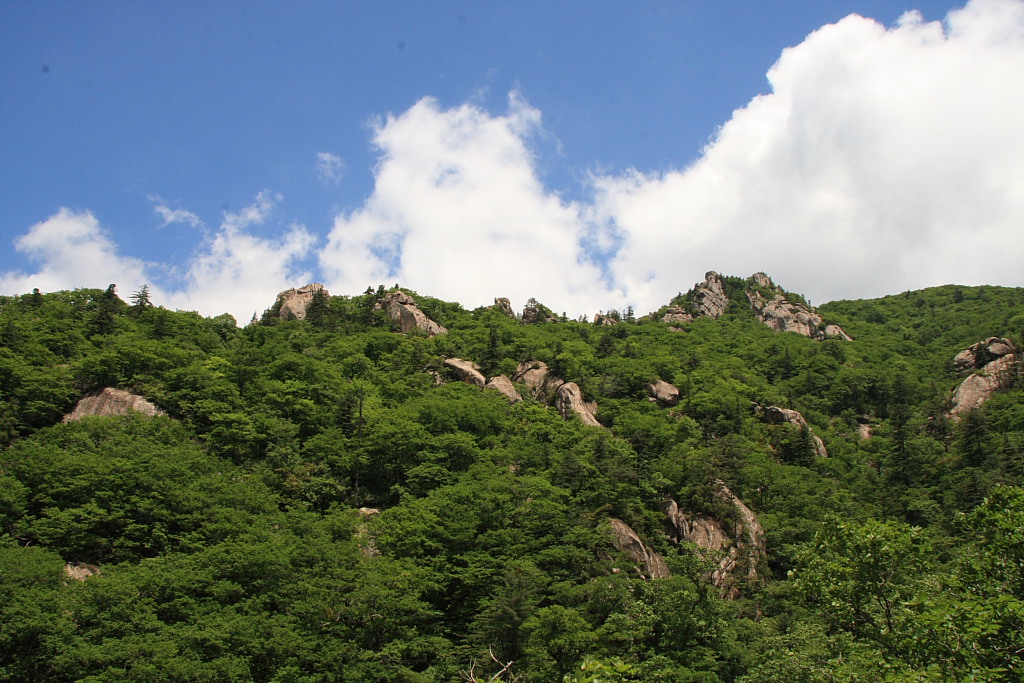 20090613_006.JPG