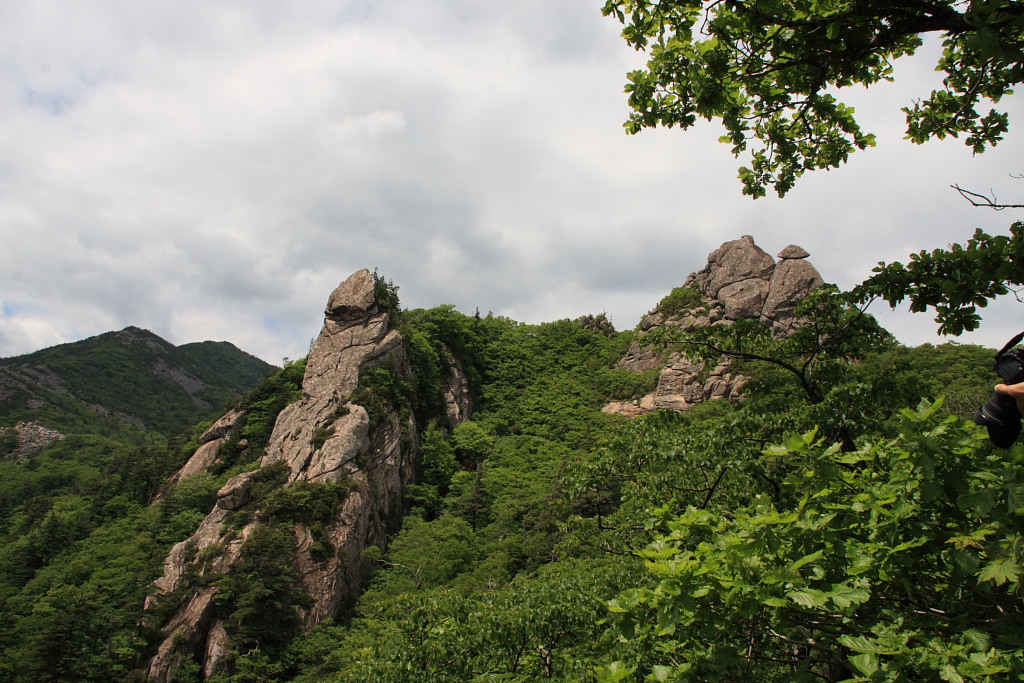 20090613_021.JPG