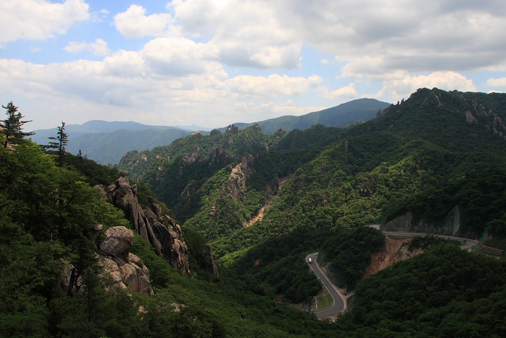 20090613_007.JPG