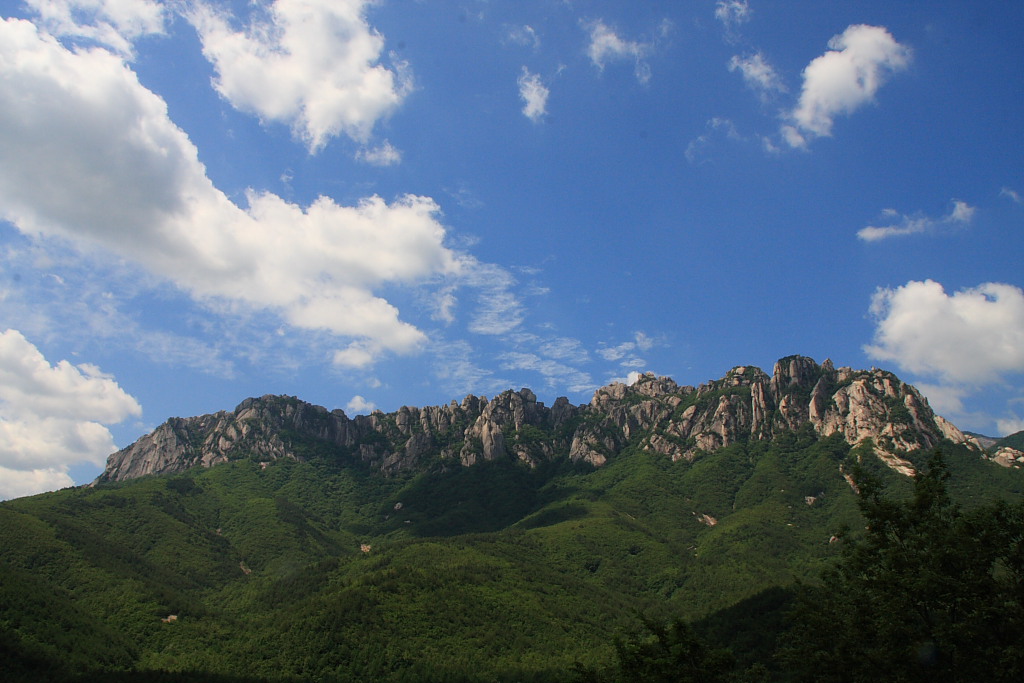 20090613_057.JPG