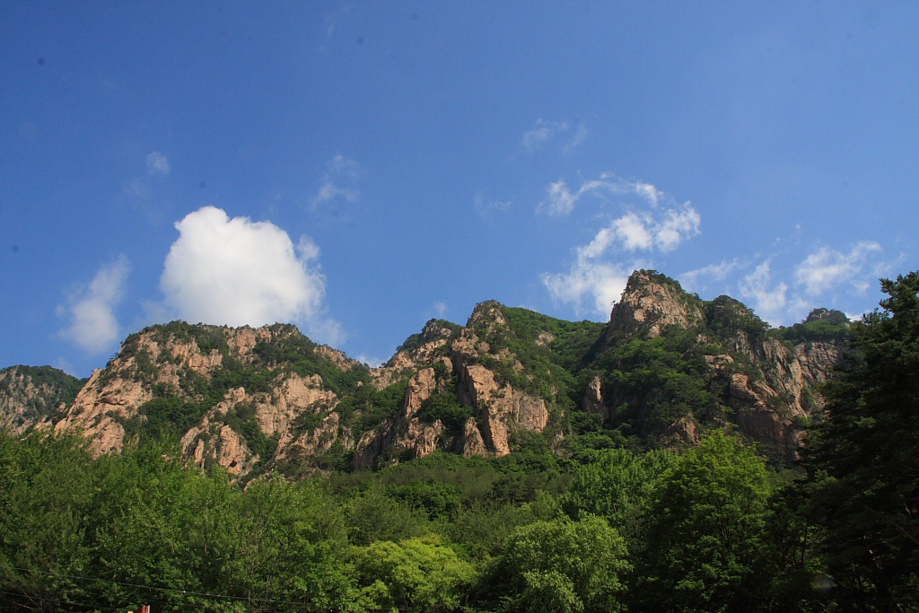20090613_001.JPG