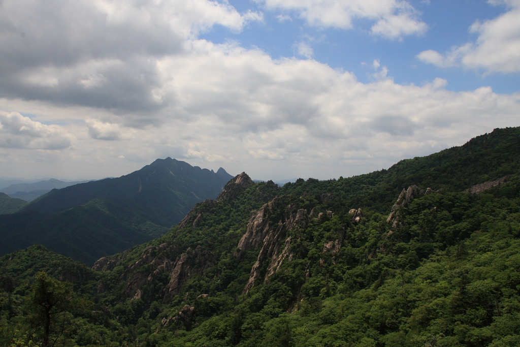 20090613_018.JPG