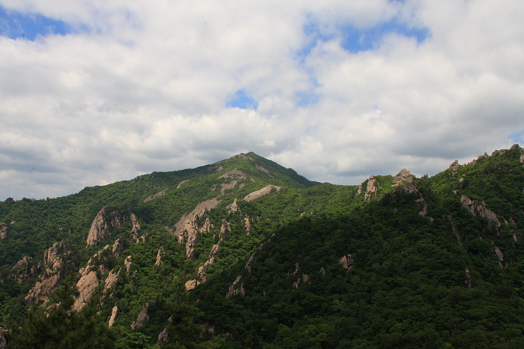 20090613_012.JPG