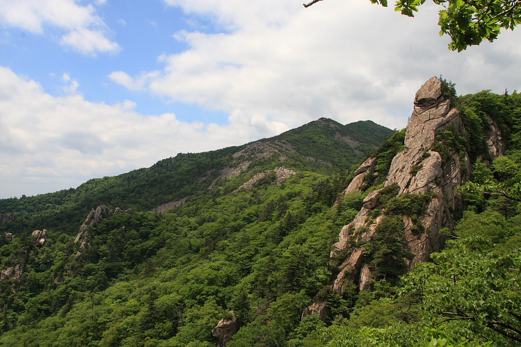 20090613_019.JPG