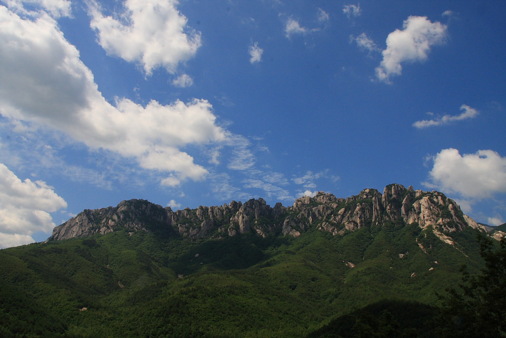 20090613_002.JPG