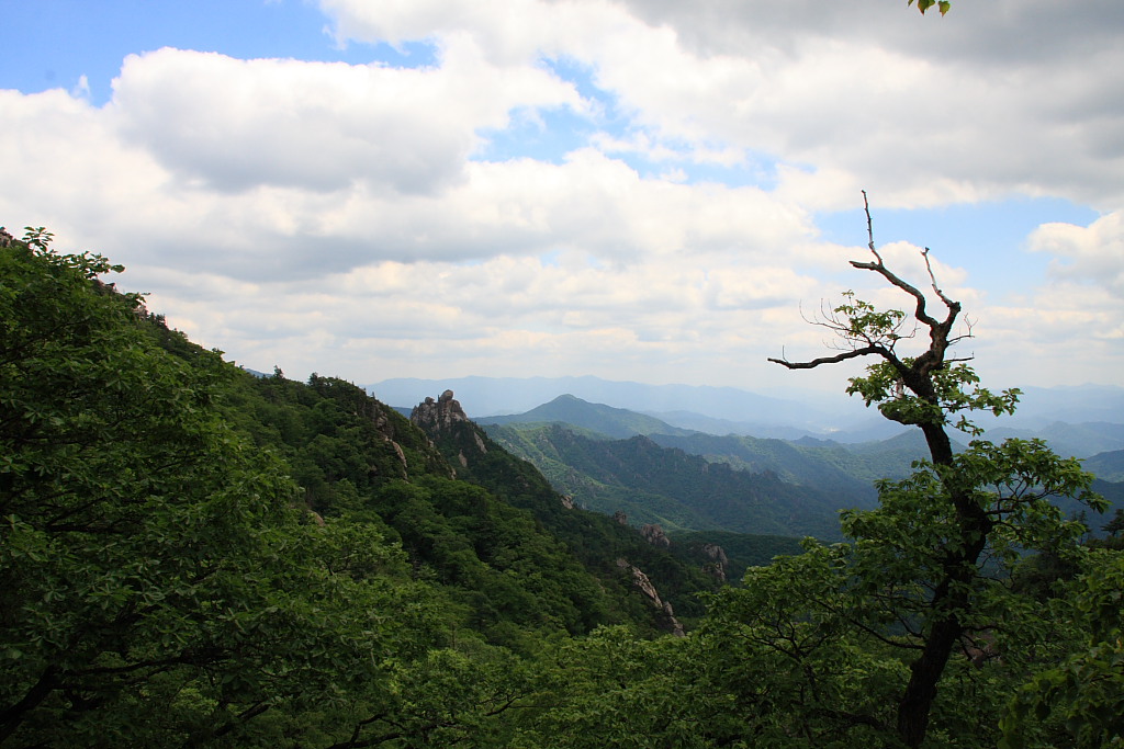 20090613_016.JPG