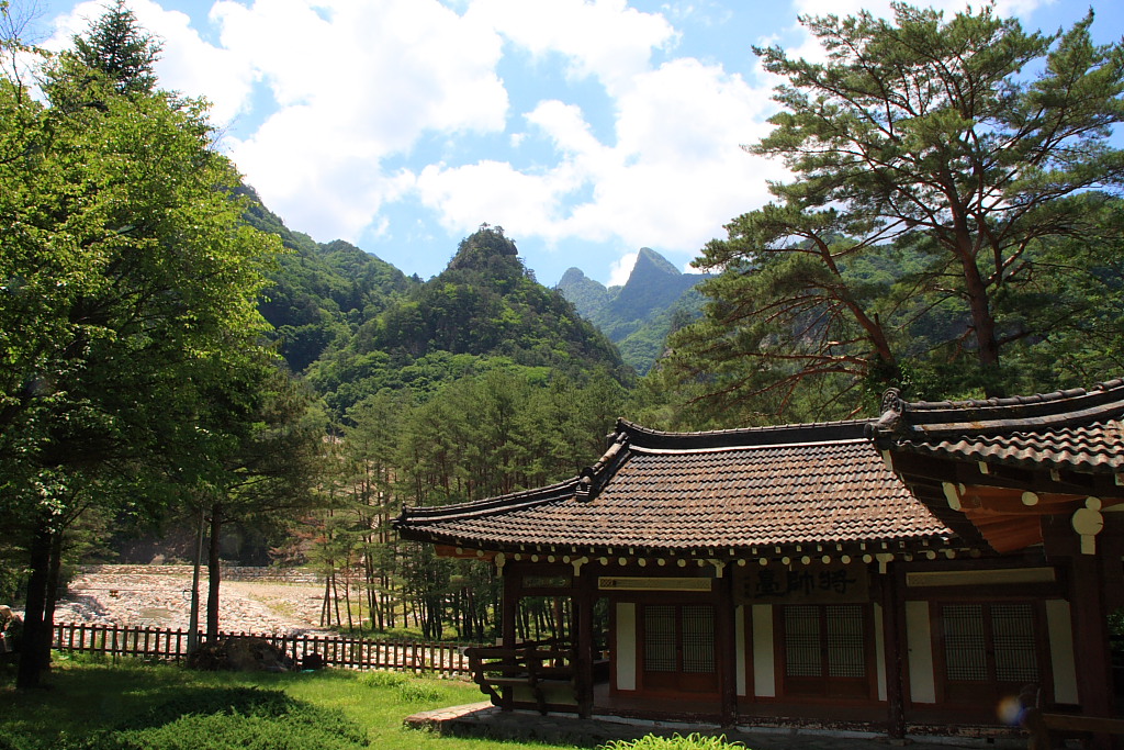 20090613_005.JPG