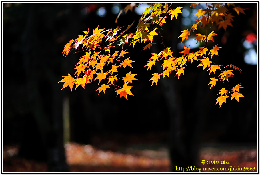 DSC_2021.jpg
