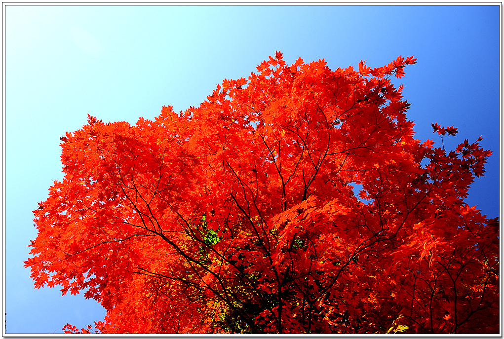 20101011_11629.jpg