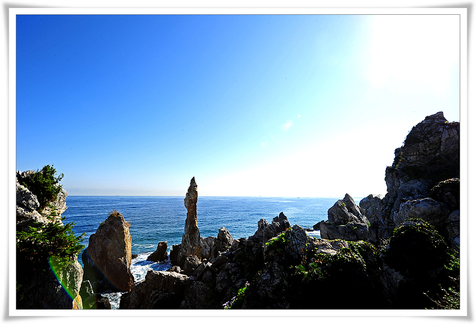 DSC_5113-1.jpg