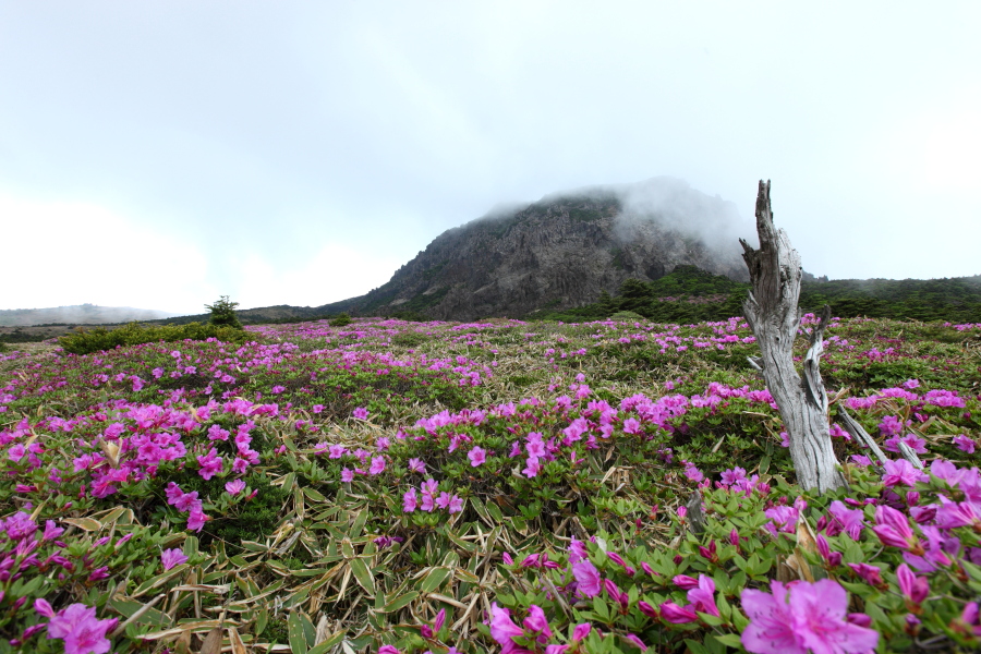 한라산3838.JPG