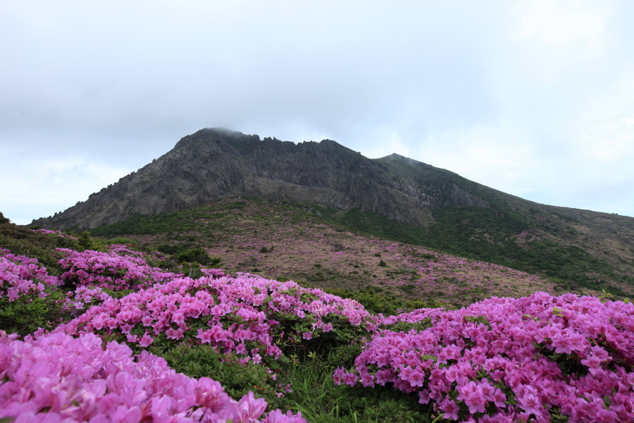 풍경3775.JPG