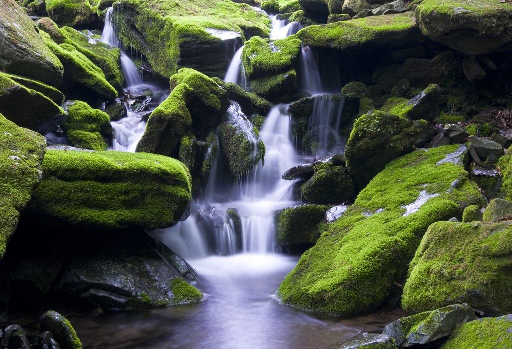 DSC_8567-1.jpg