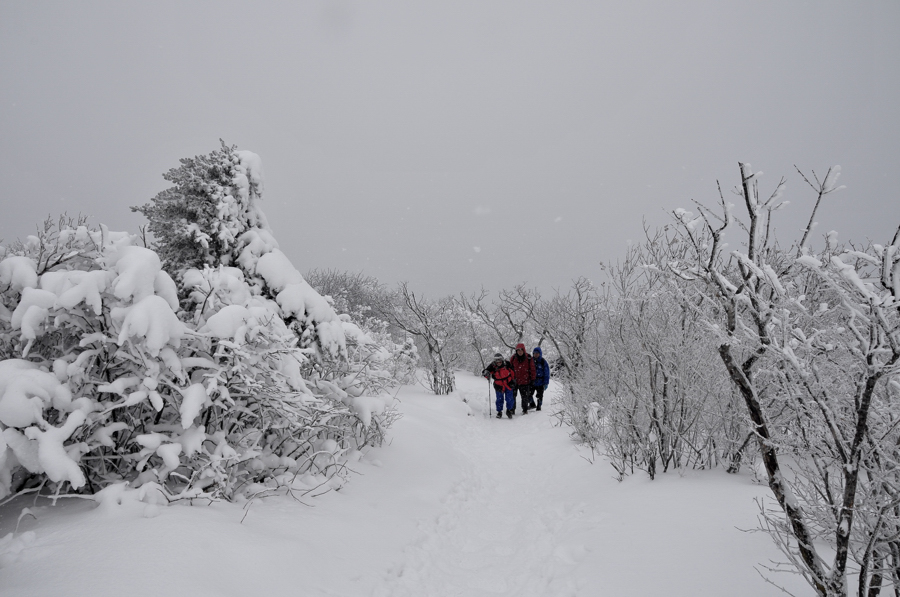 눈산행DSC_0077.jpg