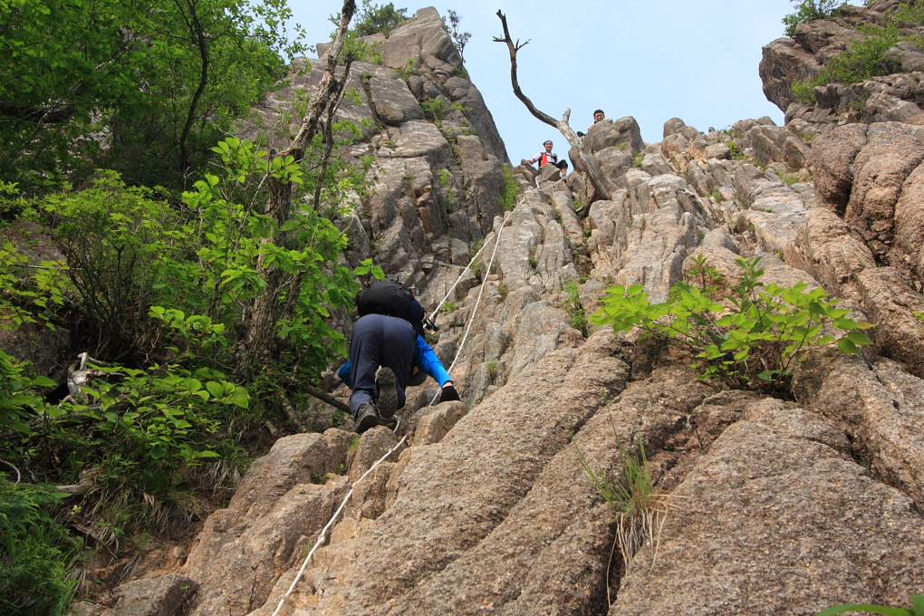 20100619_100.jpg