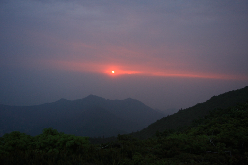 20100619_014.jpg