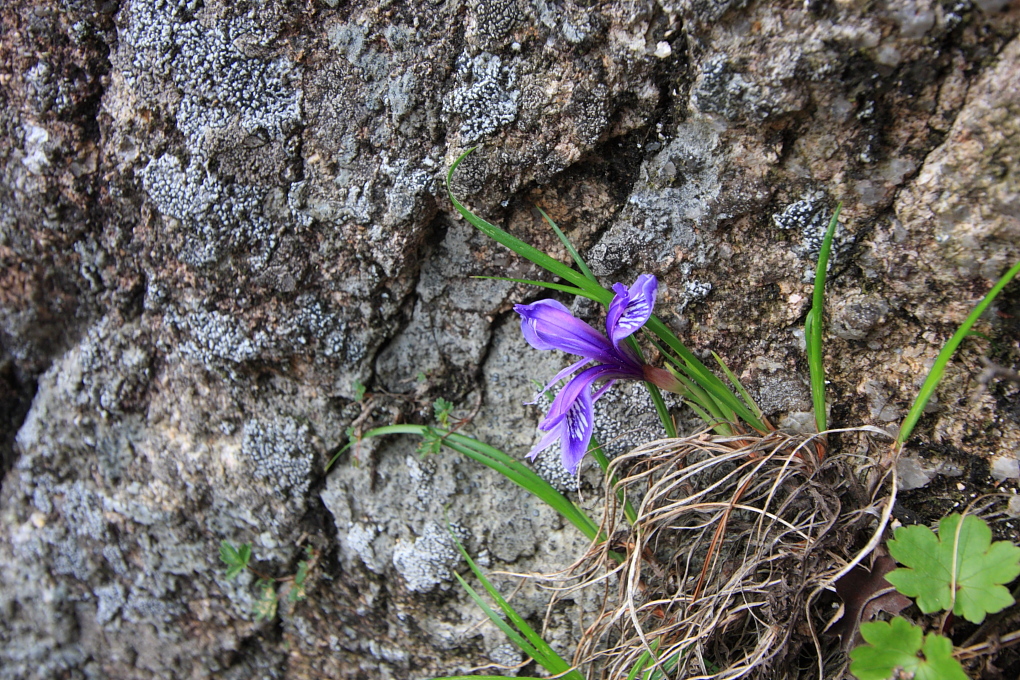 20100619_101.jpg