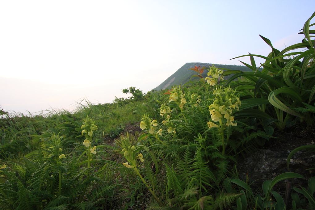 20100619_053.jpg