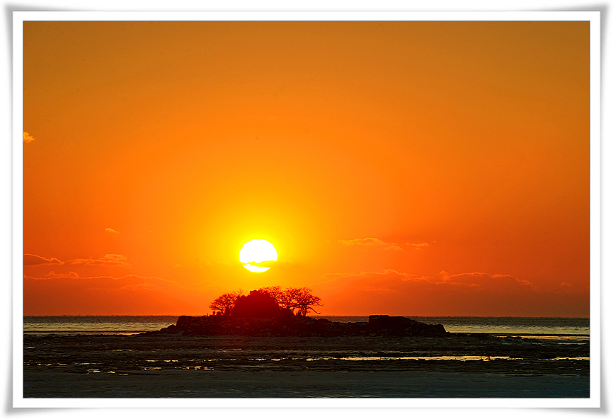 DSC_4577-1.jpg