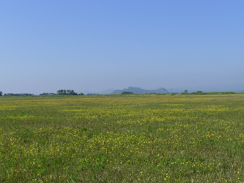 20130513-L1060823.jpg