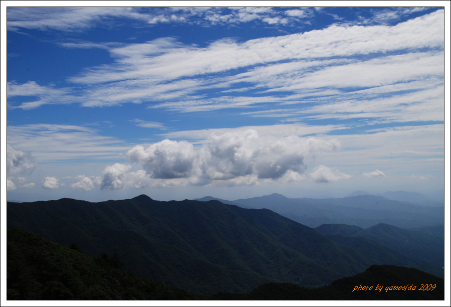 DSC_1126.jpg