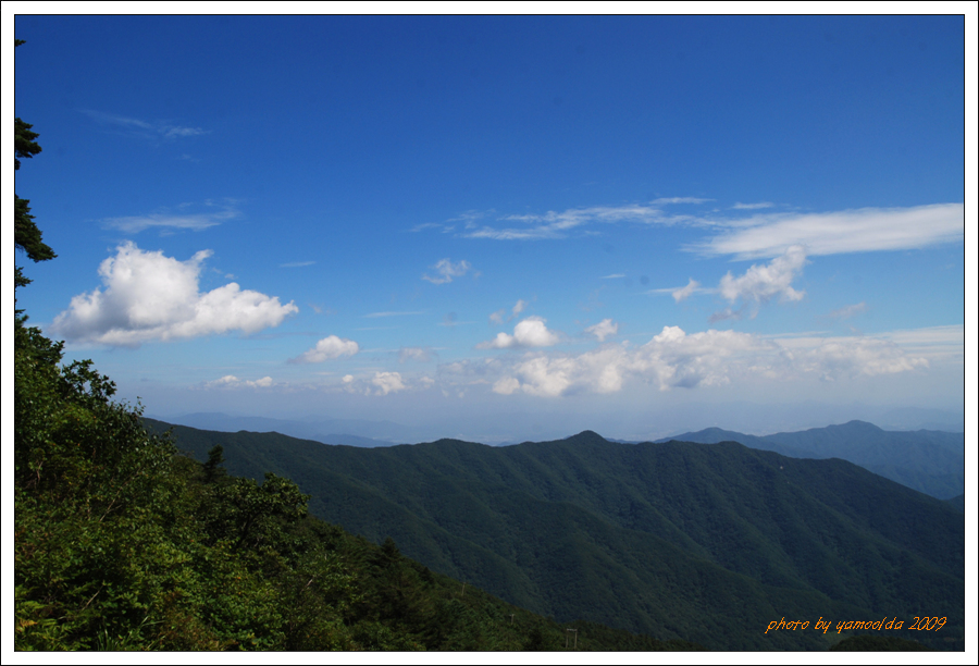 DSC_1073.jpg