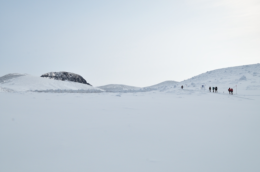 110119_086.JPG
