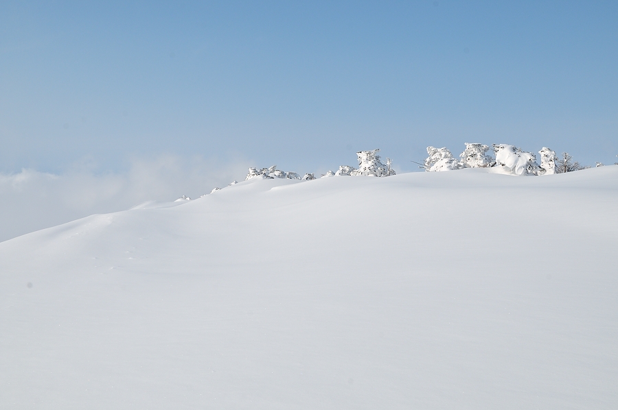 110119_154.JPG