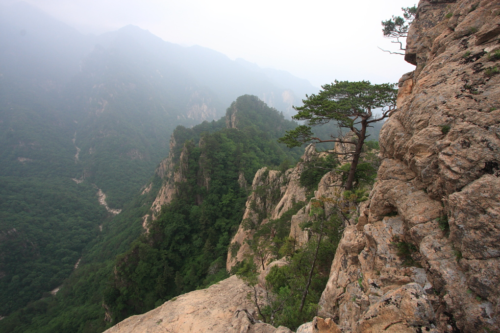 20100619_117.jpg