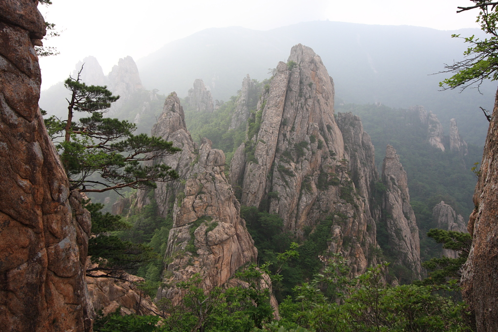 20100619_121.jpg