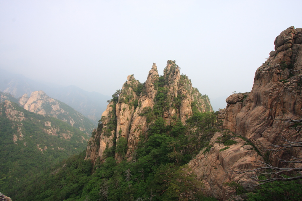 20100619_114.jpg
