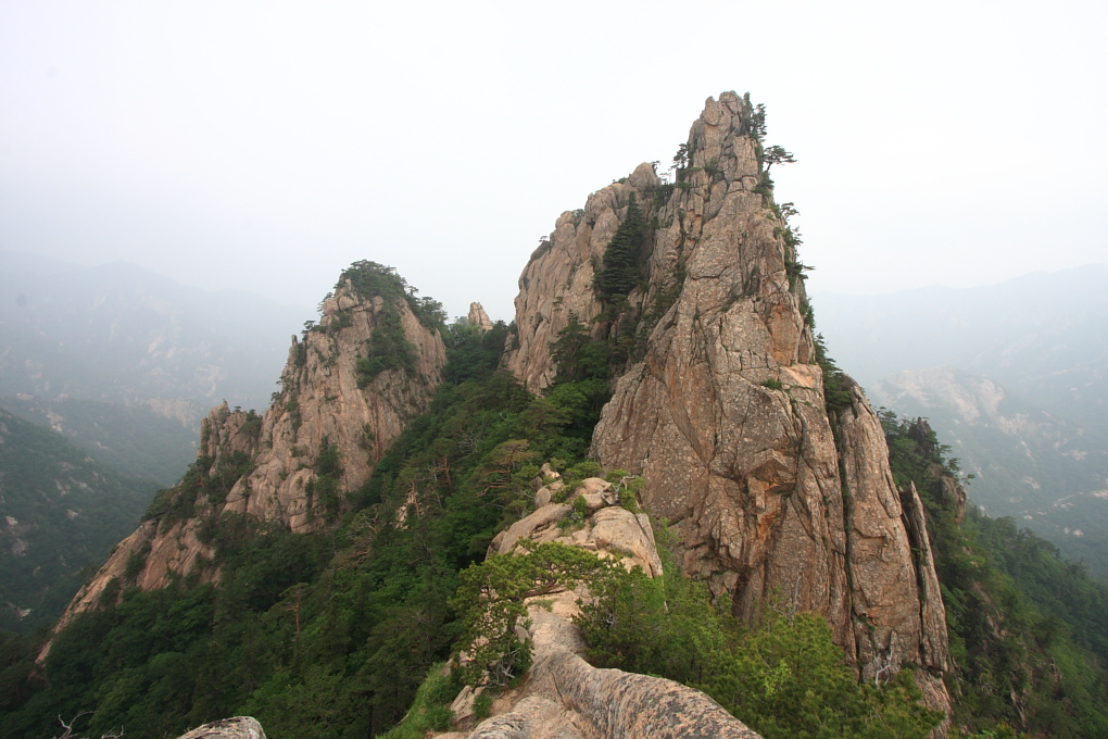 20100619_150.jpg