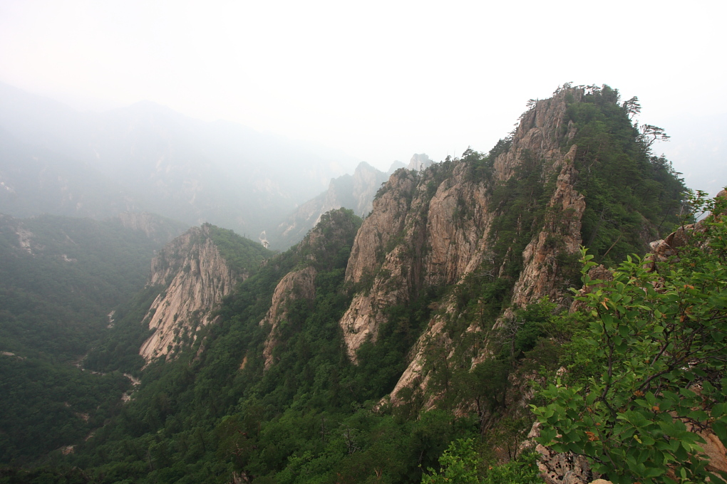 20100619_166.jpg