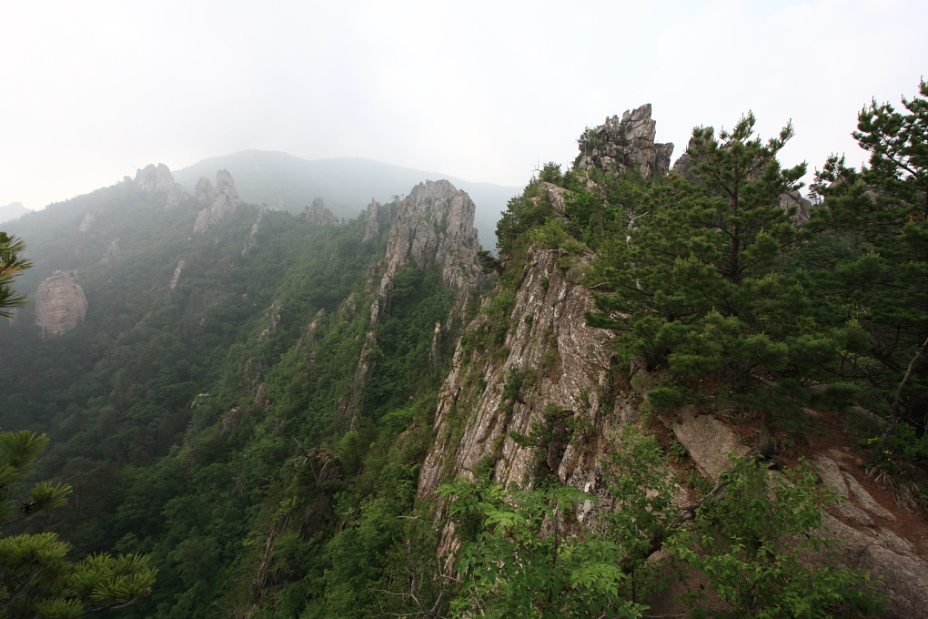 20100619_131.jpg