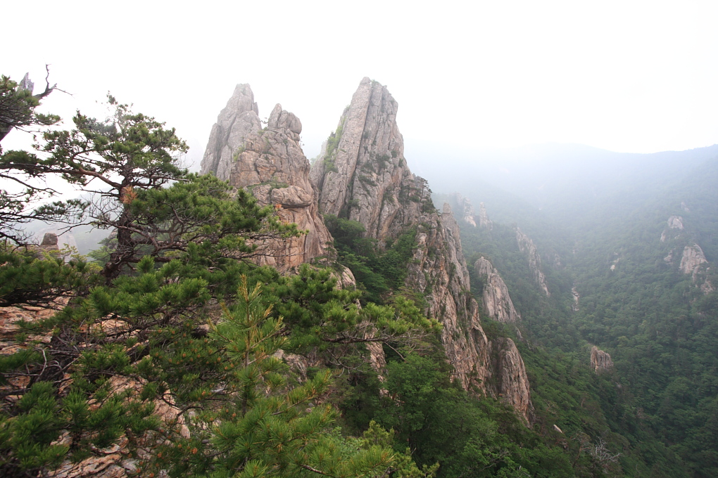 20100619_118.jpg