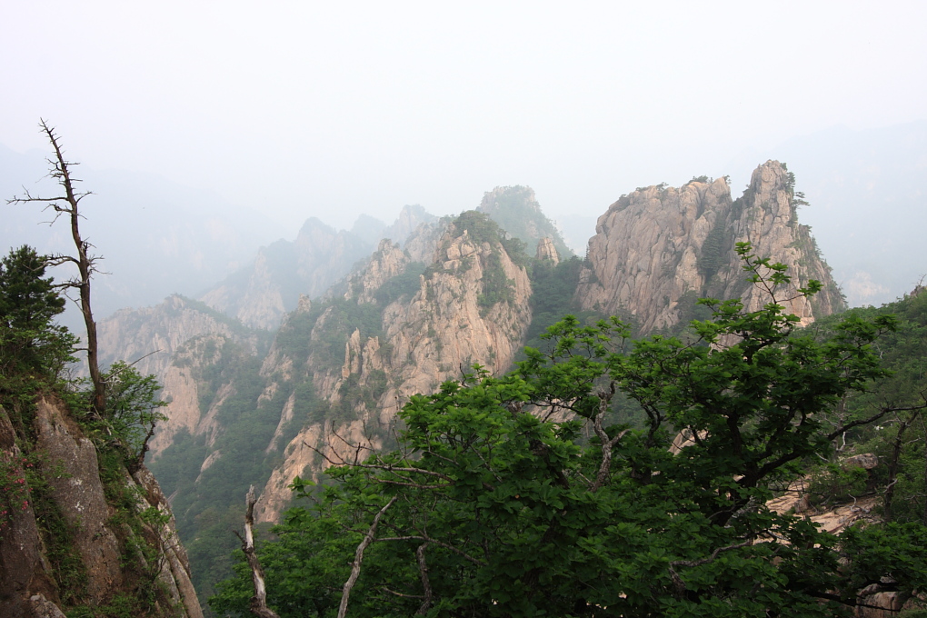 20100619_119.jpg