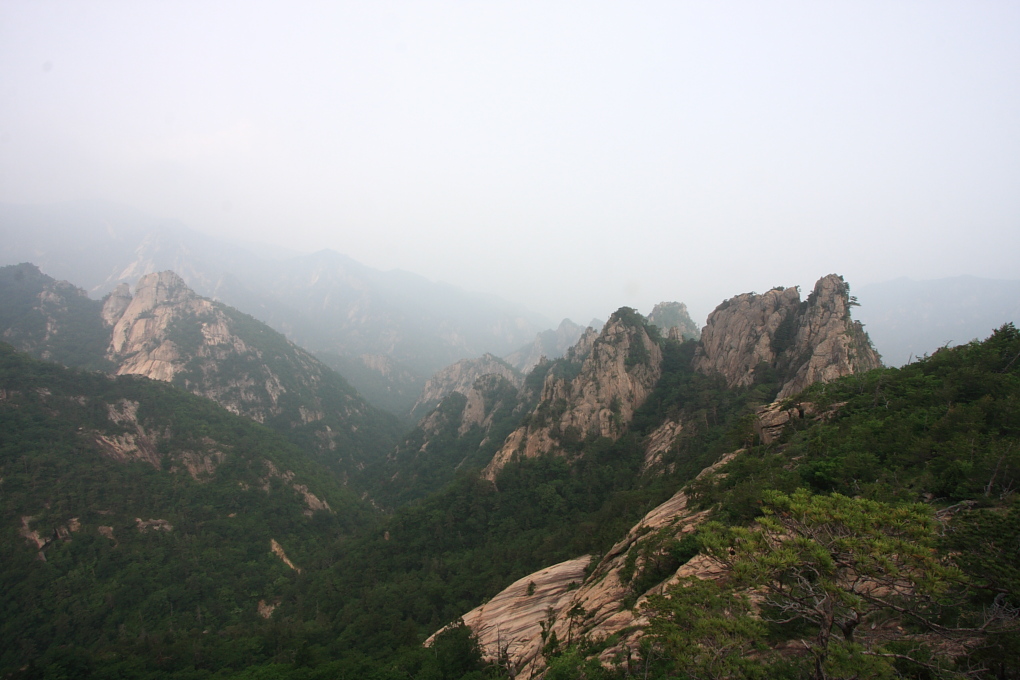 20100619_127.jpg