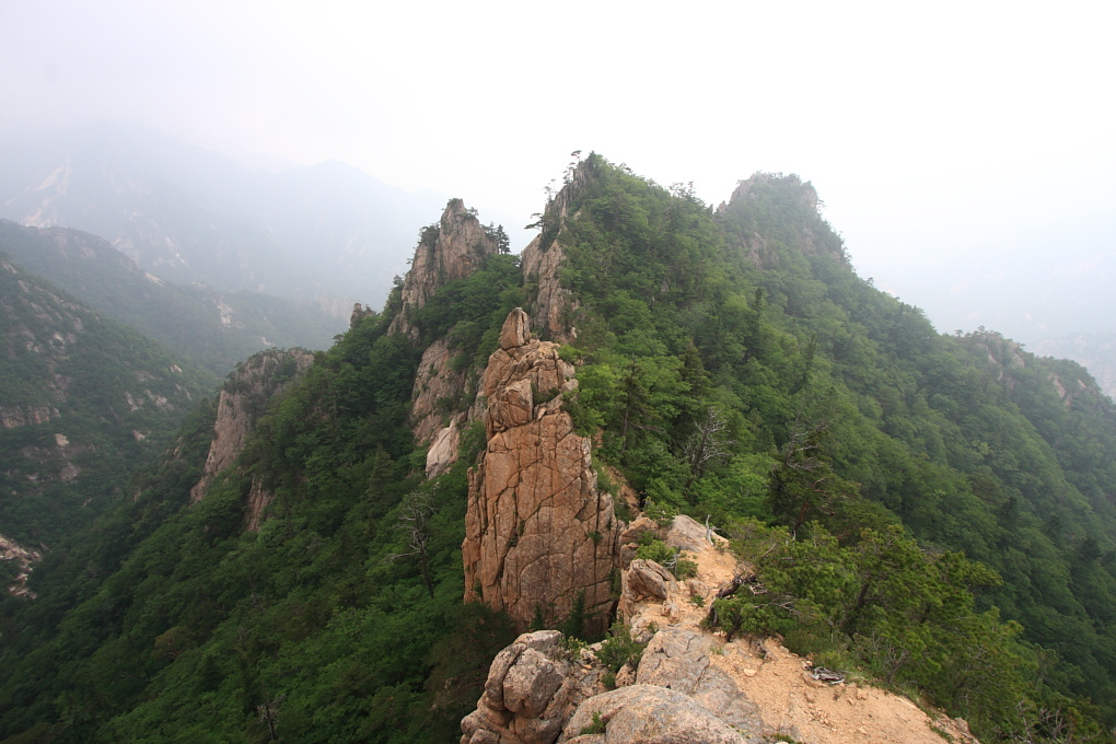 20100619_154.jpg