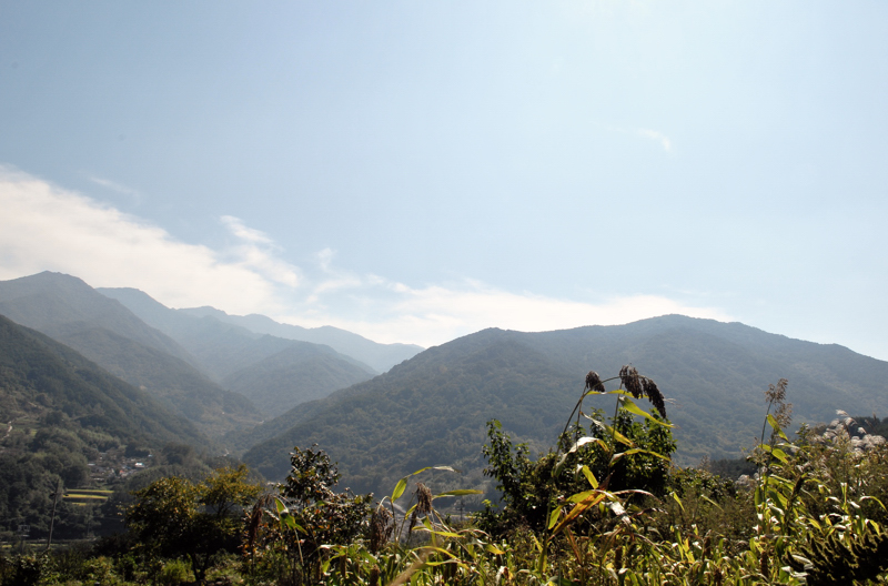 수수DSC_8160.jpg