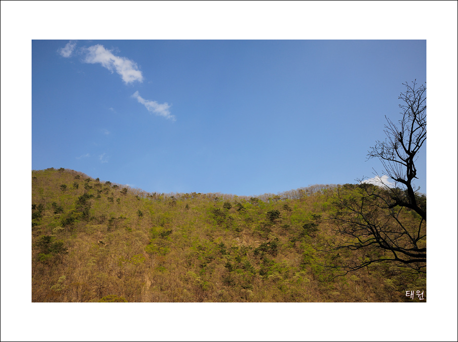 DSC_0418.jpg